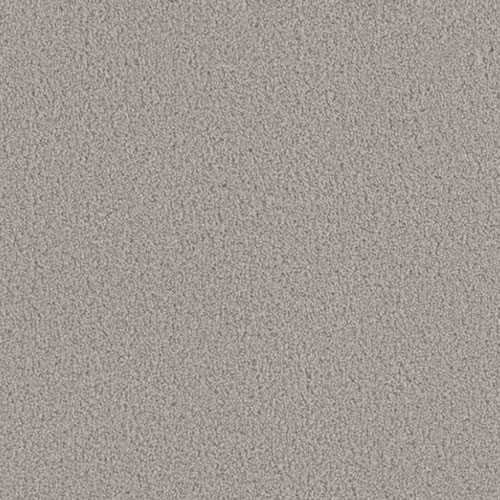 Carpet---Dwellings---Spotlight-I---Dreamer